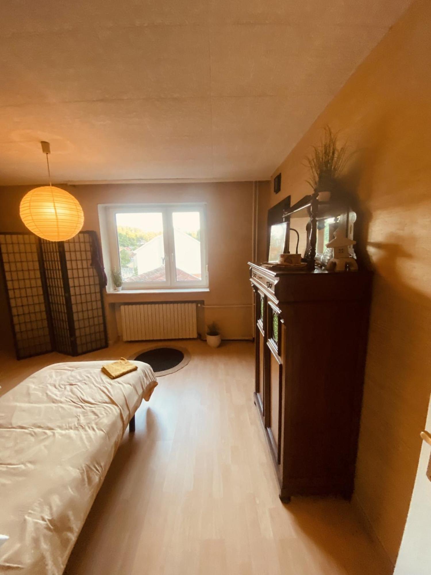 La Mariefacture - Comme A La Guinguette ! Villa Hombourg-Haut Exterior foto