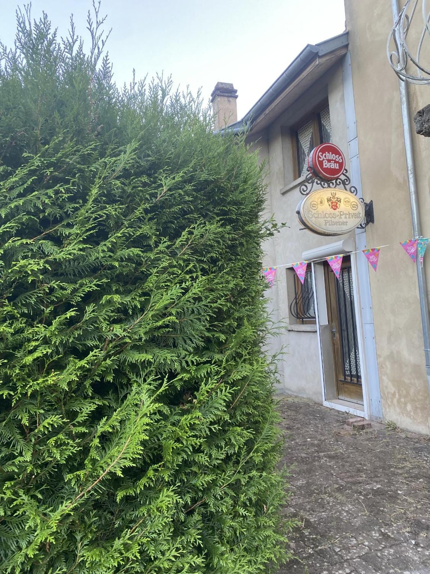 La Mariefacture - Comme A La Guinguette ! Villa Hombourg-Haut Exterior foto